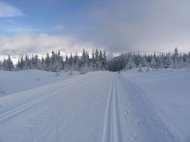 Loipe-Riesengebirge.jpg